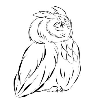 recommend clip art: An eagle owl sitting isolated line art on the white background