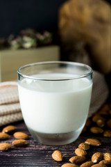 Almond milk - alternative to clasic milk. A glass with almond milk and almond nuts. Dark food photo with copy space. Healthy, vegan milk.