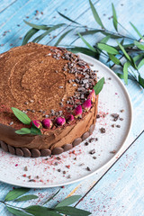 Delicious chocolate cake on a blue background with red decorative rose flowers.