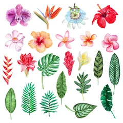 Papier Peint photo Plantes tropicales Grand ensemble de plantes tropicales aquarelles dessinées à la main. Parfait pour les invitations de mariage, les cartes de vœux, les blogs, les affiches et plus encore