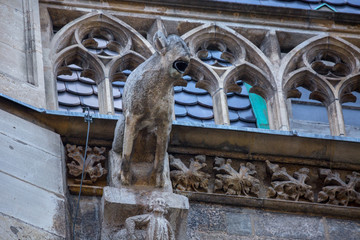 Elements of Gothic architecture. Grotesque, chimera and gargoyle sculptures on the facade of an...