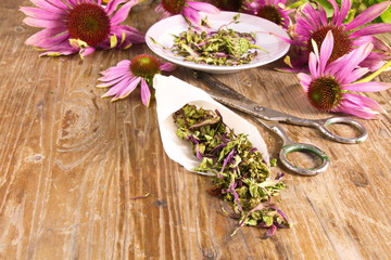 Tea drink with dried Echinacea purpurea (Echinacea purpurea) 