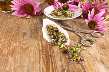 Fototapeta na wymiar Tea drink with dried Echinacea purpurea (Echinacea purpurea) 