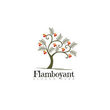 logo flamboyant, elegance tree vector