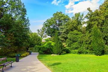 Obraz premium Margaret Park in Budapest