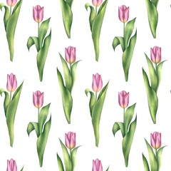 Seamless pattern with pink tulips. Decorative floral background
