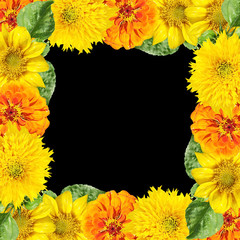 Beautiful floral background of  tsiniya and sunflower. Isolated