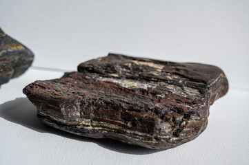 Fossilized wood with silica crystal bands from Buffalo Gap National Grasslands, South Dakota