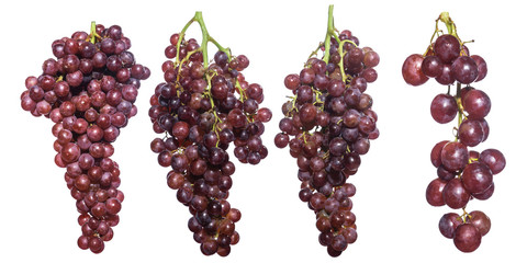 The collection of Seedless grape isolated on white background.