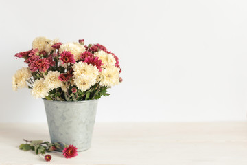 Romantic bouquet of cream and pink chrysanthemums in a vintage pot. Background or postcard.