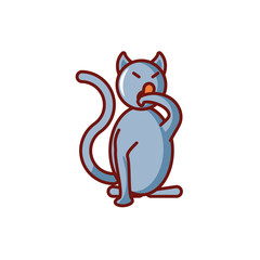 black cat on white background