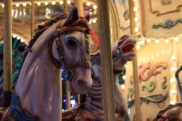 Fototapeta na wymiar 夜の遊園地　メリーゴーラウンドの木馬の頭部