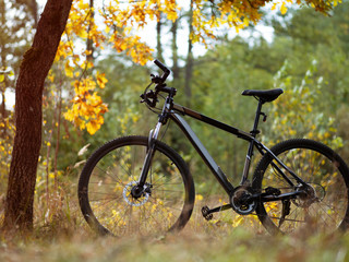 Fototapeta premium Mountain bike in the autumn forest near a tree. Very active lifestyle background