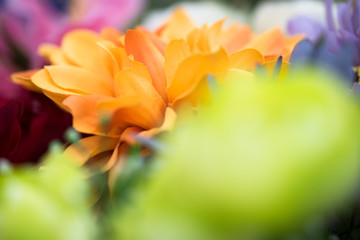 造花　ふんわり