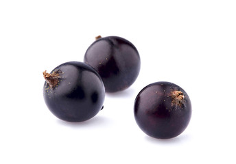 Black currant berries on White Background isolated