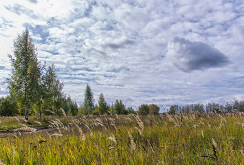 The end of September, the South-East of Moscow region