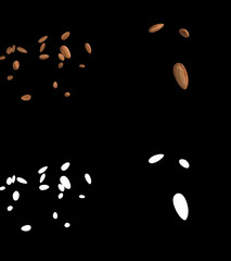 3D illustration of a almond flow with alpha layer