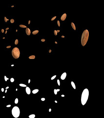 3D illustration of a almond flow with alpha layer