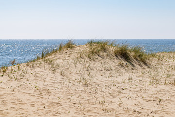 Fototapeta na wymiar Sand dunes and grasses on beach