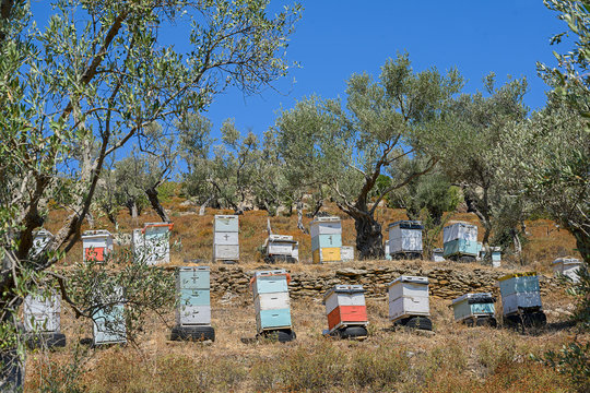 Bienenkästen Bei Moria, Insel Lesbos, Griechenland