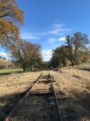 Fototapeta premium Empty Railroads