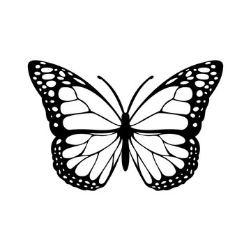 black and white butterfly silhouette