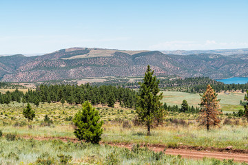 Flaming Gorge national park landscape view in summer in Utah with dirt road and trees