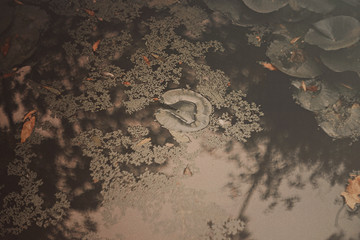 abstract grunge background