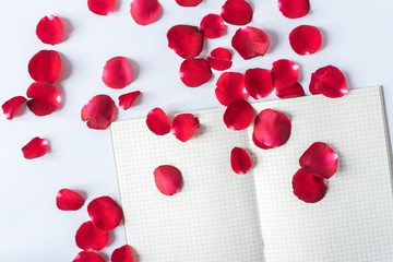 Top of view of empty opened gridded notebook and red rose petals on white background with copy space on the left.. Flat lay of working desk. Empty notebook for your text.