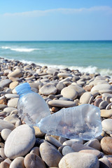 Fototapeta na wymiar Plastic bottle pollution on a beach.
