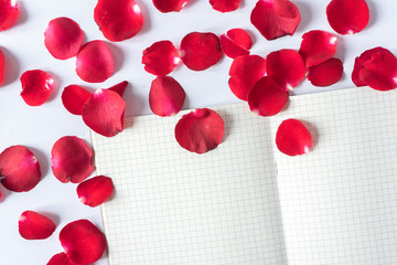 Top of view of empty opened gridded notebook and red rose petals on white background with copy space on the left.. Flat lay of working desk. Empty notebook for your text.