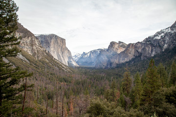 Fototapeta na wymiar View of Mountain Landmark on view point Yosemite National Park at USA.