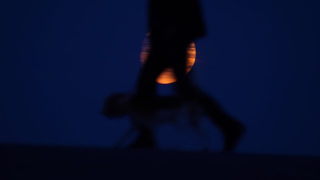 Dramatic view of moon disc on dark blue sky. Blurred legs of man walking with dog, pass by on foreground at end of clip. Stripes of clouds crossing fool moon, telephoto perspective