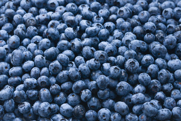 Fresh blueberry background. Texture blueberry berries close up.