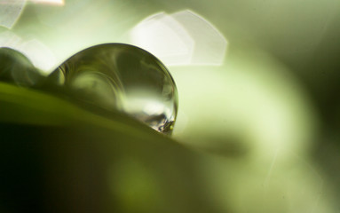GOTA