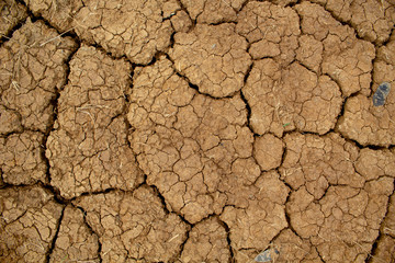 Dry and hot summers dry, cracked soil, ground on the field with some small, green plants.