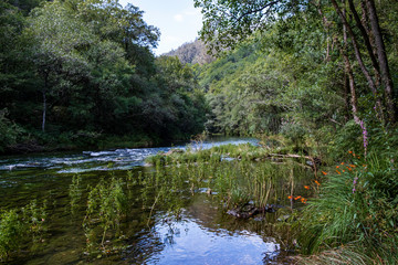 P:arc natural Fragas de Eume, Galice, Espagne.