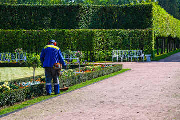 Professional gardener trimming grass in autumn park. Beautiful city park with blooming flowers, symmetrical green hedge, trees, bushes, gardener on the front of background. Garden worker mowing lawn 