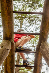 Happy boy having fun climbing on ladder in the forest