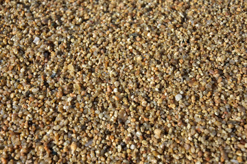 Beach Sand Texture Background, selective focus. Abstract sand background. sand surface for summer background. Fine sand texture. Sandstone structure. Tropical backdrop.