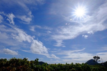 Obraz premium Beautiful sky and beautiful clouds. 