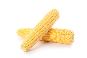 Ears of corn isolated on white background