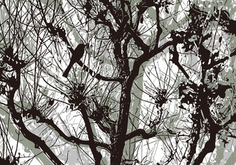 winter tree and a bird