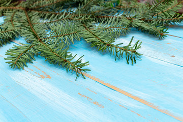 Fur spruce pine coniferous branches on the blue painted brushed wooden background
