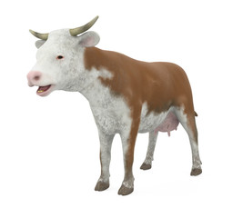 Cow Isolated