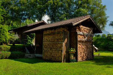 stock up on firewood in mountain Mezzano Imerm, Pale di San Martino village with Dolomite peaks in Val di Primiero Noana of Trentino Alto-Adige