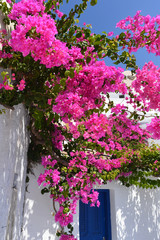 Firá -Santorini, Griechenland