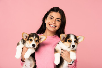 beautiful woman holding cute Welsh Corgi puppies, isolated on pink