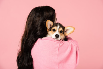 back view of girl holding Welsh Corgi puppy, isolated on pink