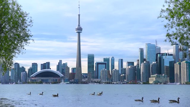 Canada Toronto Establishing Shot with Ducks and Sea.